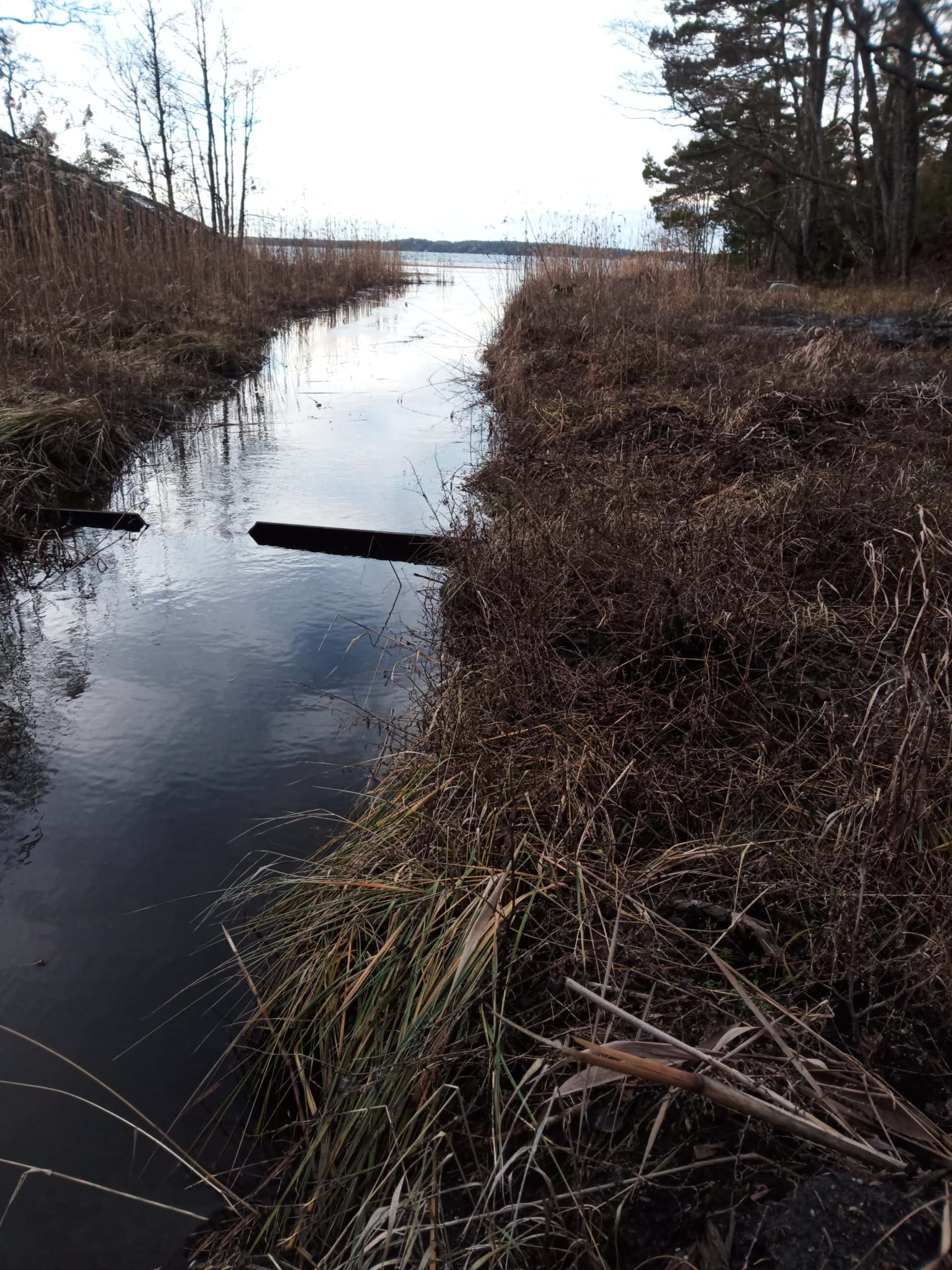 Tolfsnäs Haukitehdas Yhteys Mereen Ja Patolevy