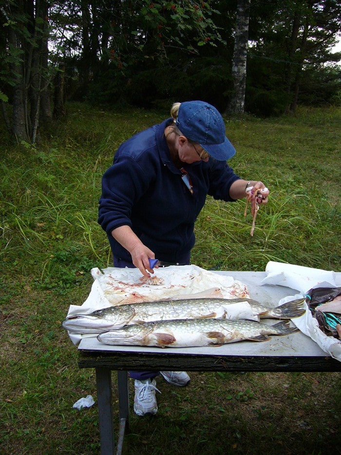 Tolfsnäs Hufvudstadsbladetin ja Helsingin Sanomien Välinen-Perinteinen Kalastuskilpailu Syyskuu 2006