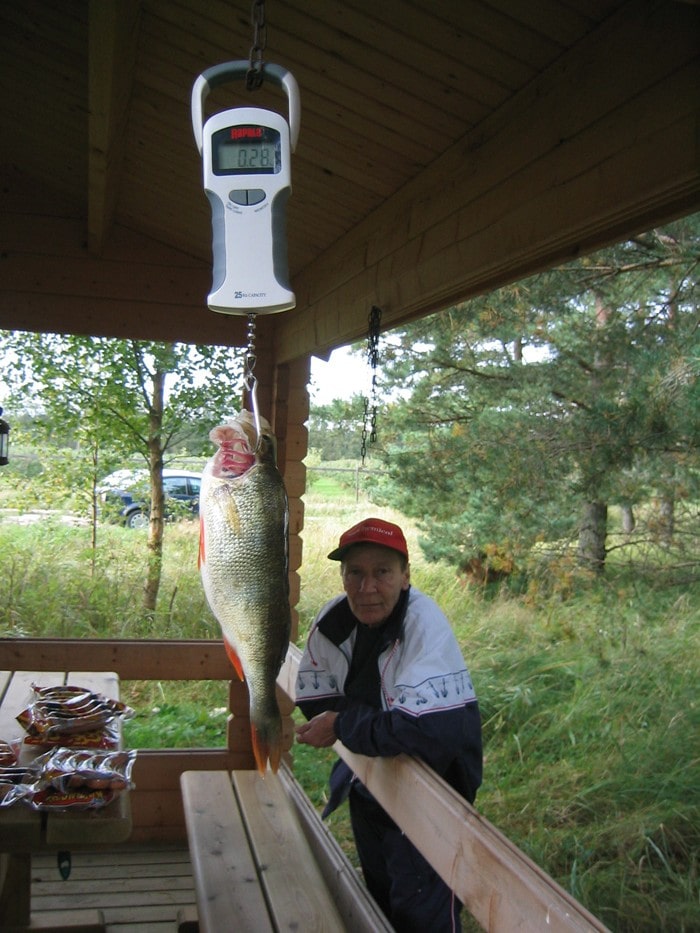 Tolfsnäs Hufvudstadsbladetin ja Helsingin Sanomien Välinen-Perinteinen Kalastuskilpailu Syyskuu 2011