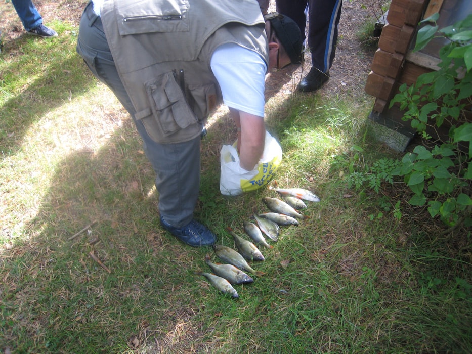 Tolfsnäs Hufvudstadsbladetin ja Helsingin Sanomien Välinen-Perinteinen Kalastuskilpailu Syyskuu 2011