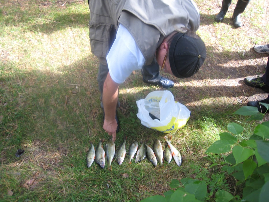 Tolfsnäs Hufvudstadsbladetin ja Helsingin Sanomien Välinen-Perinteinen Kalastuskilpailu Syyskuu 2011