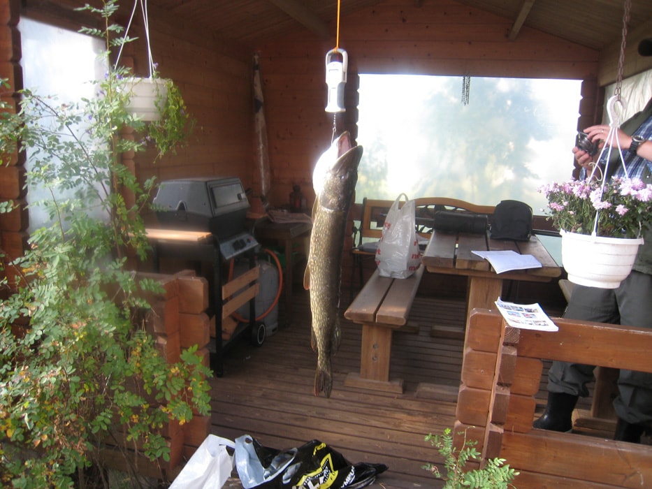 Tolfsnäs Hufvudstadsbladetin ja Helsingin Sanomien Välinen-Perinteinen Kalastuskilpailu Syyskuu 2011