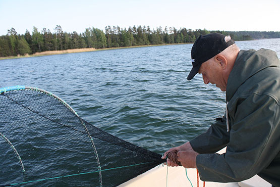 Tolfsnäs Koekalastus Hylkeenkestävällä rysällä 2014 Börje Holmberg