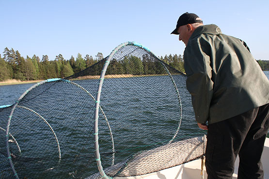 Tolfsnäs Koekalastus Hylkeenkestävällä rysällä 2014 Börje Holmberg