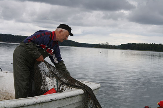 Tolfsnäs Koekalastus Hylkeenkestävällä rysällä 2014 Börje Holmberg