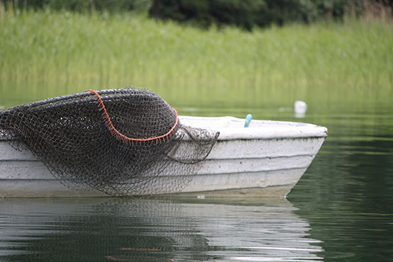 Tolfsnäs Koekalastus Hylkeenkestävällä rysällä 2014 Börje Holmberg
