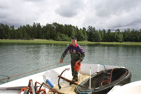 Tolfsnäs Koekalastus Hylkeenkestävällä rysällä 2014 Börje Holmberg