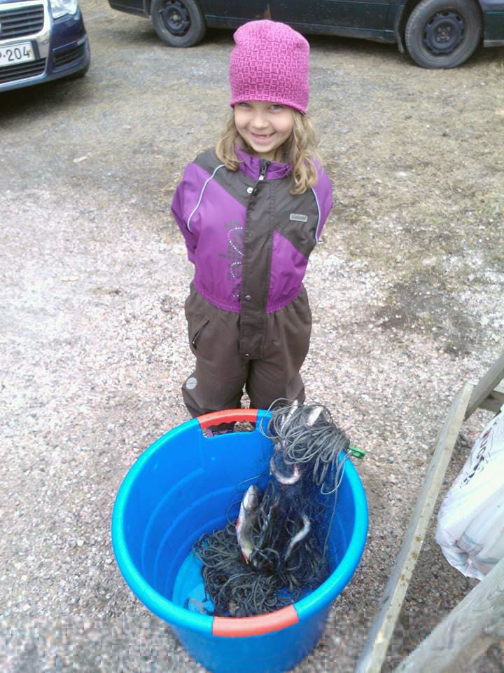 Tolfsnas Silakkakalastus 2013 Klaus Harmanen