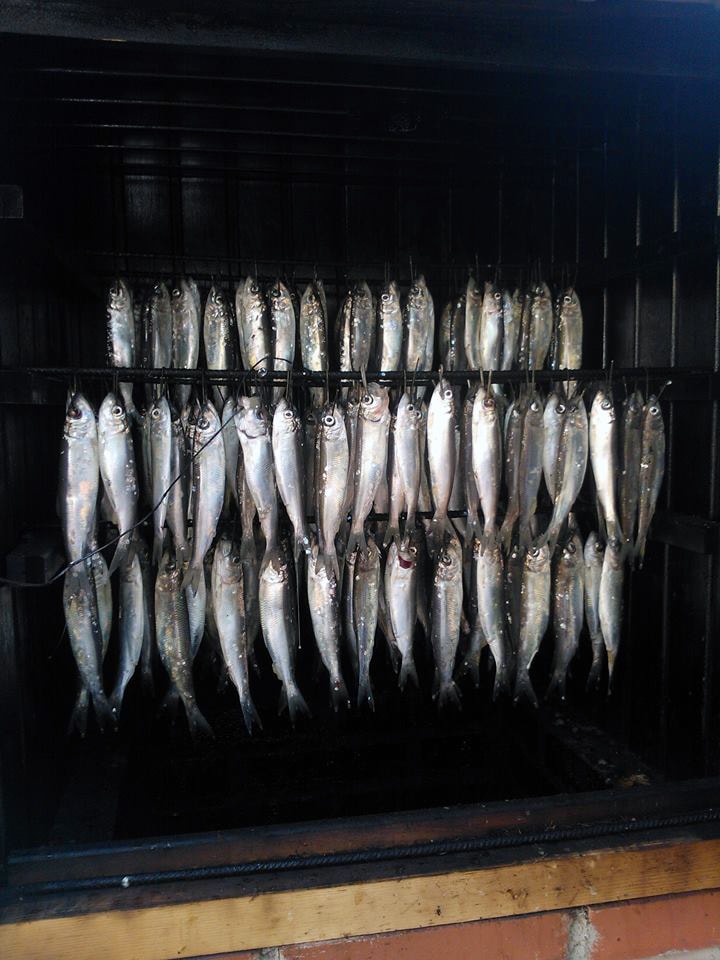 Tolfsnas Silakkakalastus 2013 Klaus Harmanen