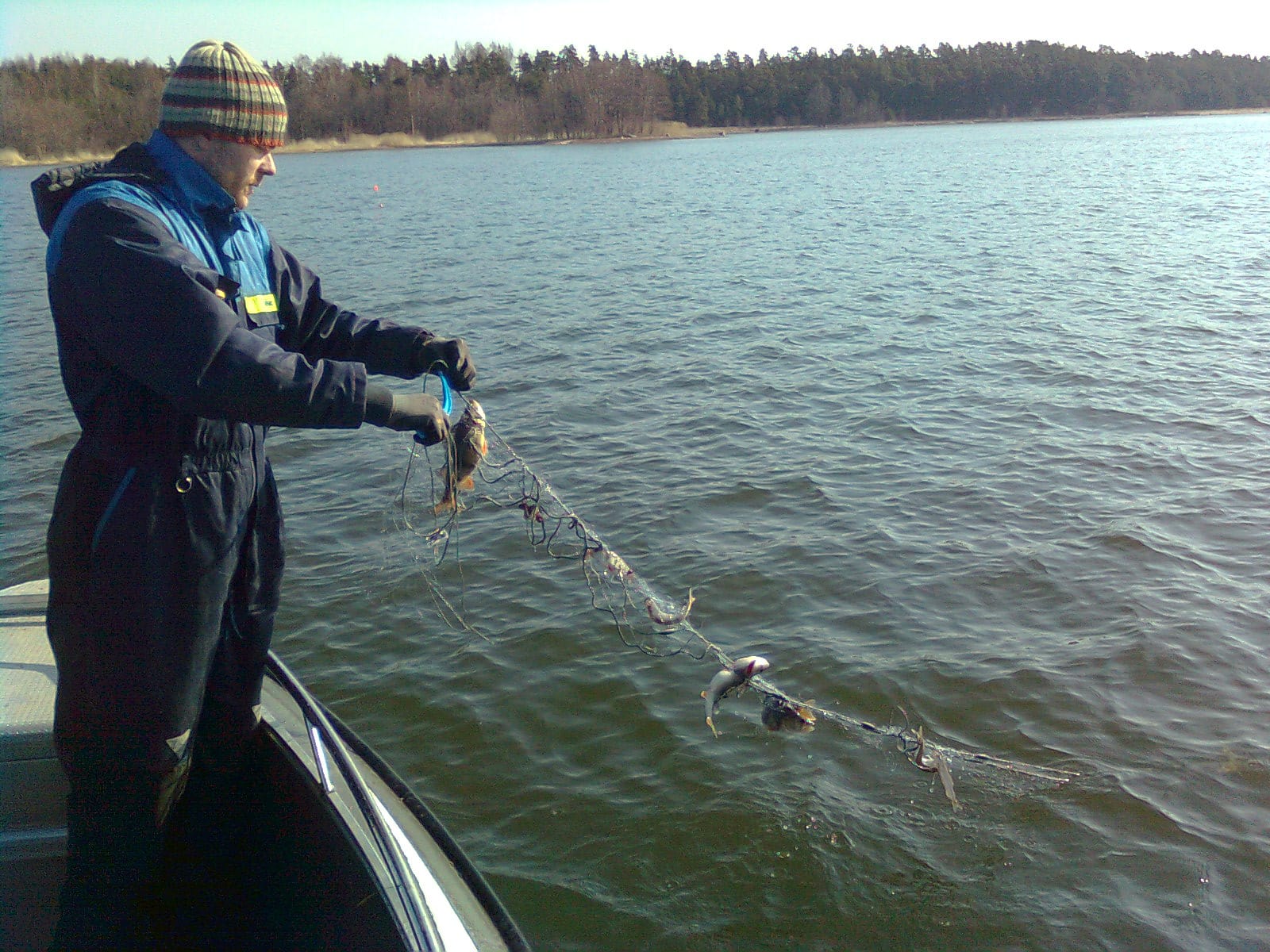 Tolfsnas Verkkokalastus 2013 Klaus Harmanen