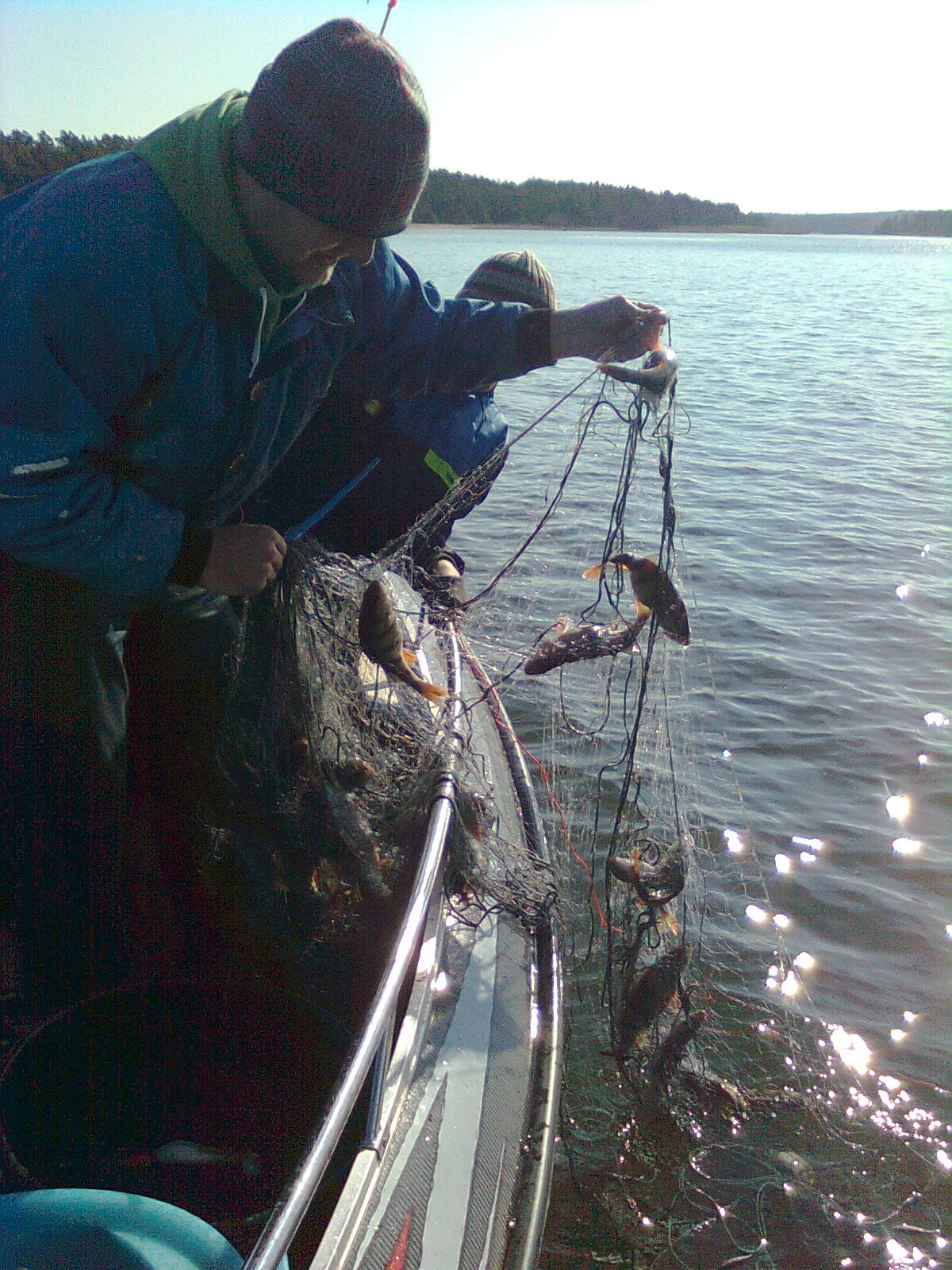 Tolfsnas Verkkokalastus 2013 Klaus Harmanen