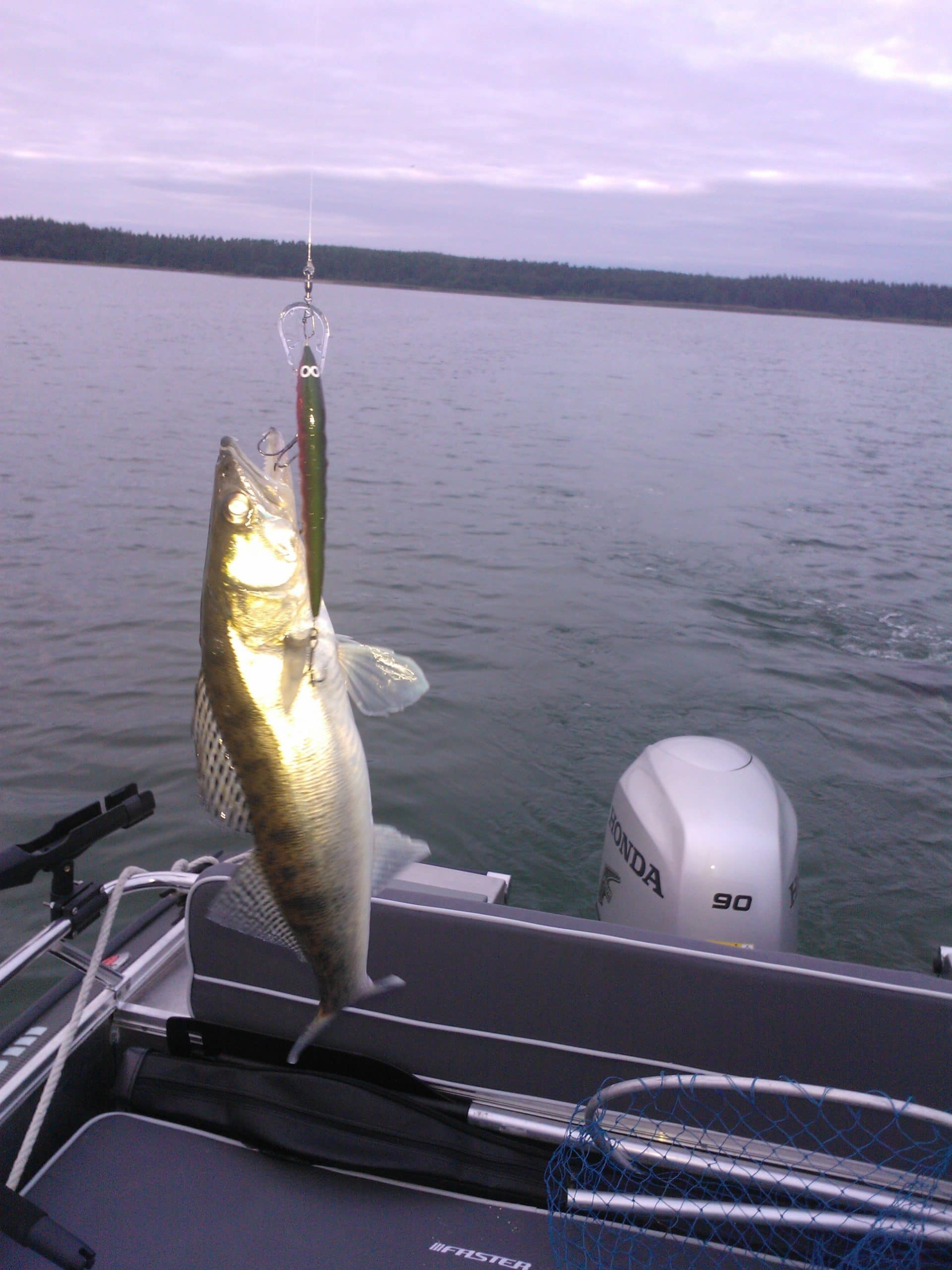 Tolfsnas Verkkokalastus 2013 Klaus Harmanen